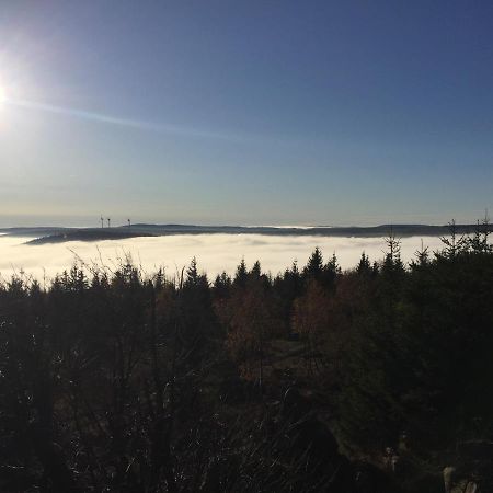 Вілла Erzgebirgsholzhaus Am Lugstein Altenberg Екстер'єр фото