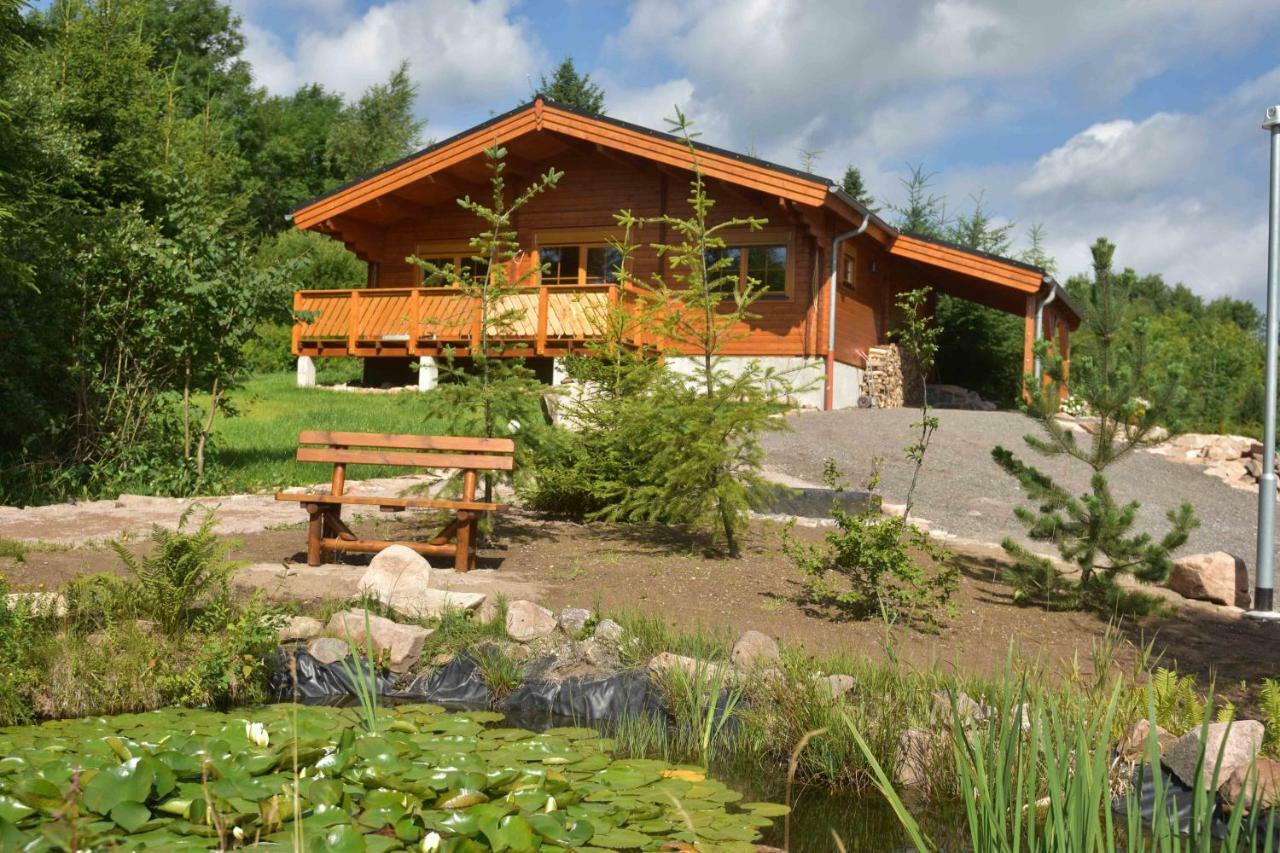Вілла Erzgebirgsholzhaus Am Lugstein Altenberg Екстер'єр фото