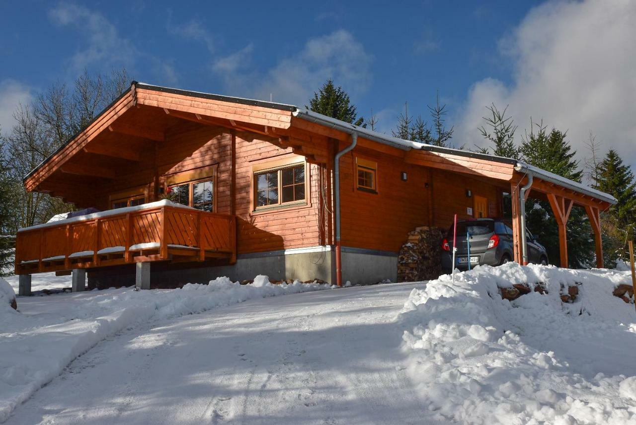 Вілла Erzgebirgsholzhaus Am Lugstein Altenberg Екстер'єр фото